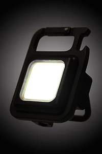 Clip On Light