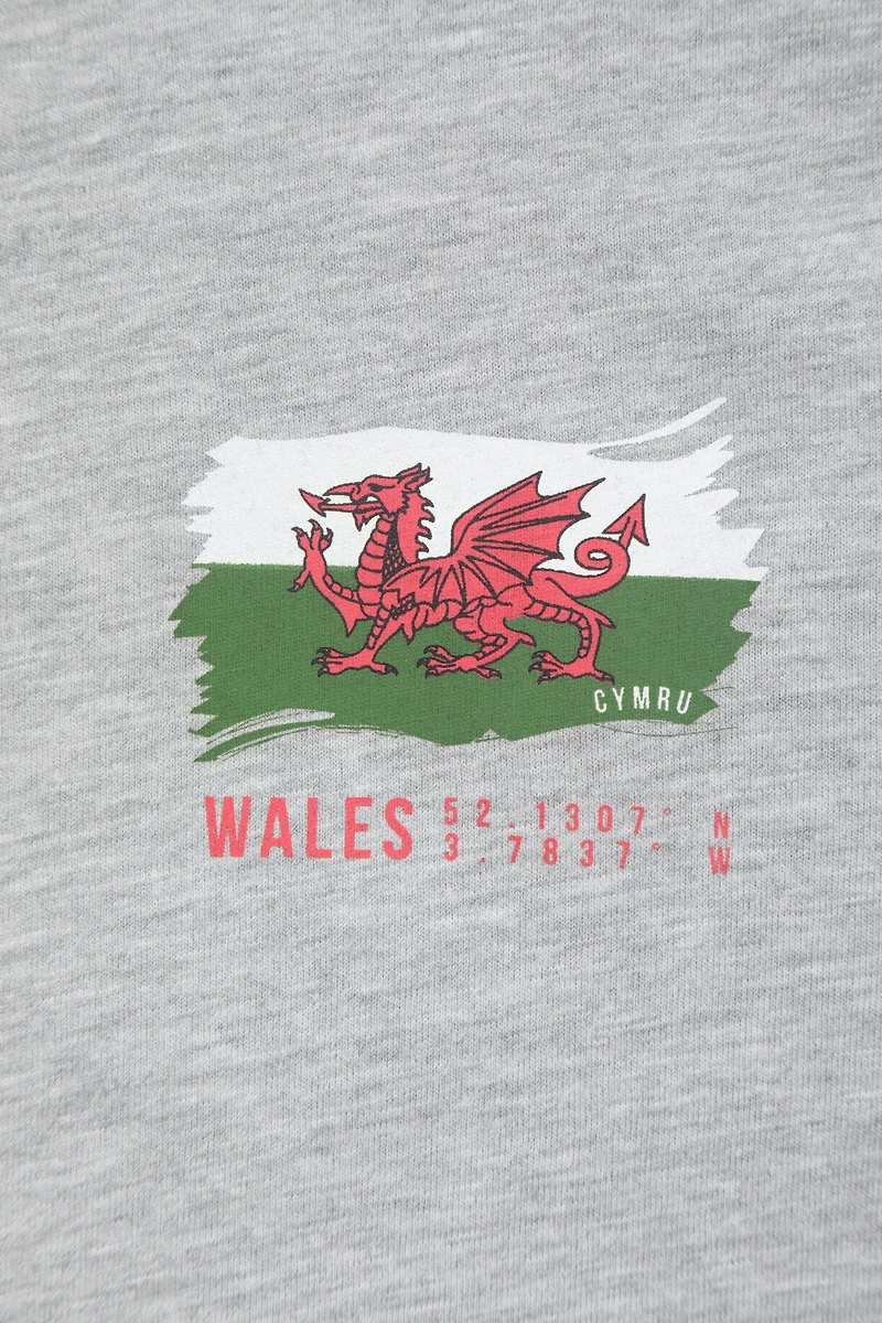 Wales Graphic Short Sleeved Mens T-Shirt