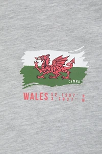 Wales Graphic Short Sleeved Mens T-Shirt
