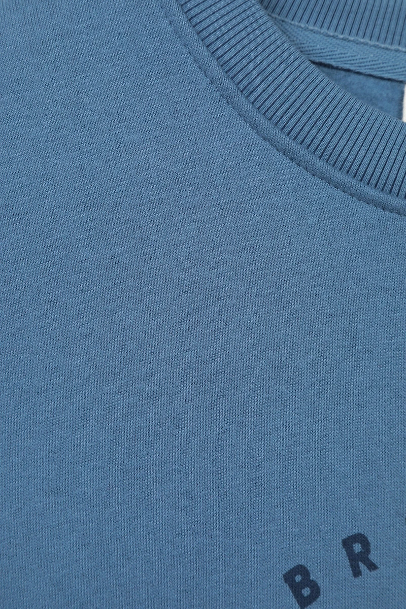 Regional Mens Whistler Graphic Sweatshirt