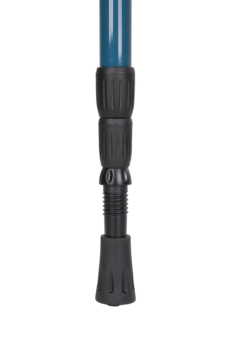 Roamer Walking Pole