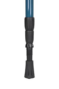 Roamer Walking Pole