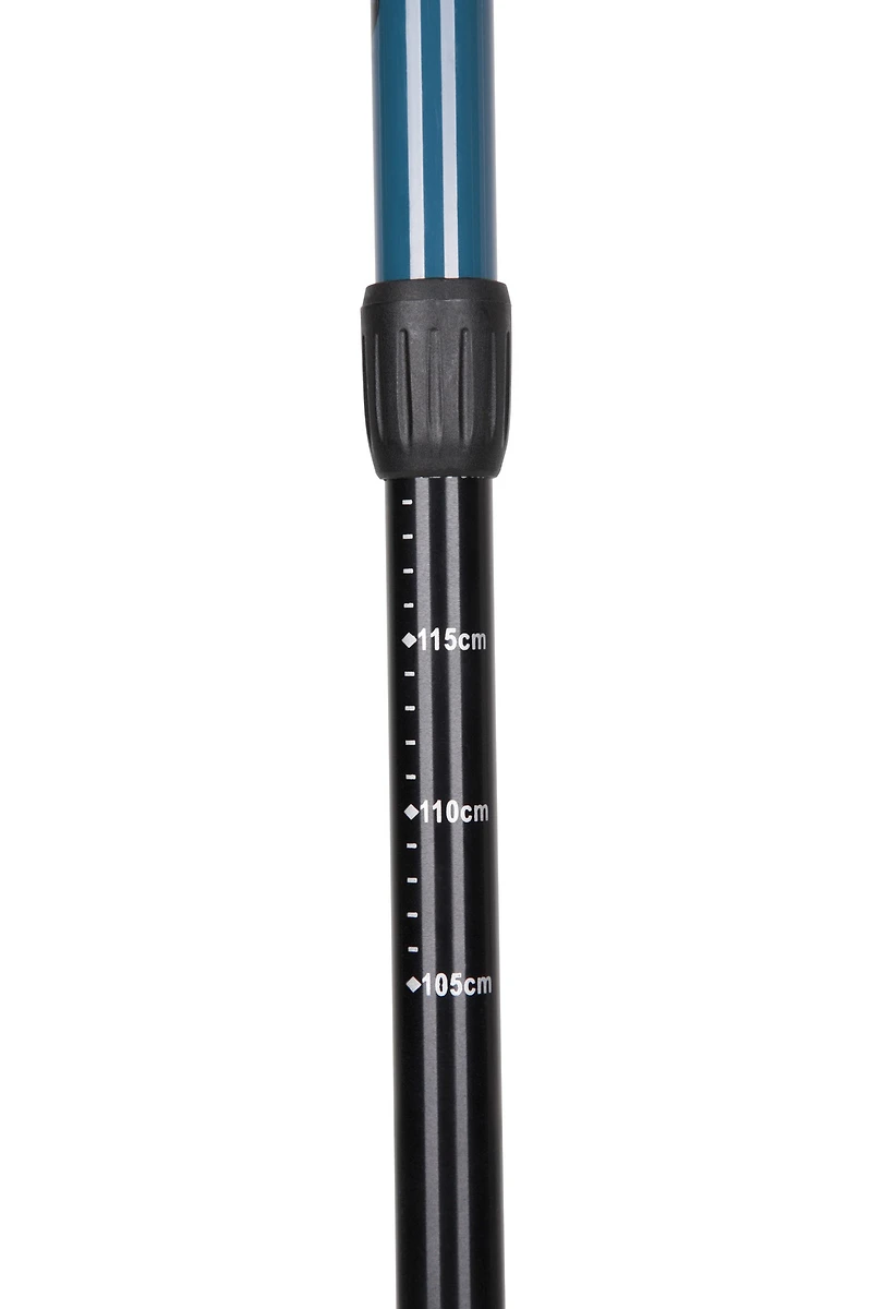 Roamer Walking Pole