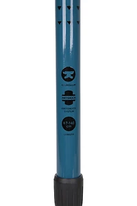 Roamer Walking Pole