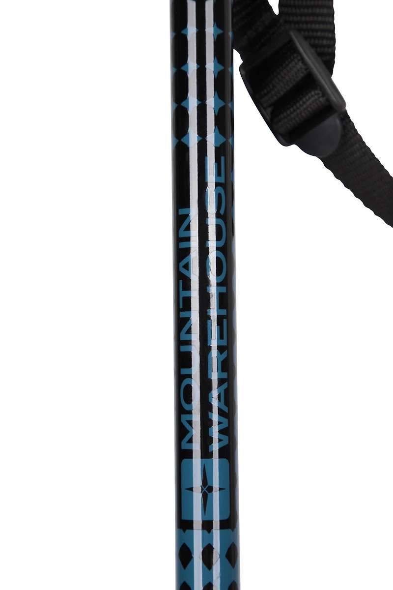 Roamer Walking Pole