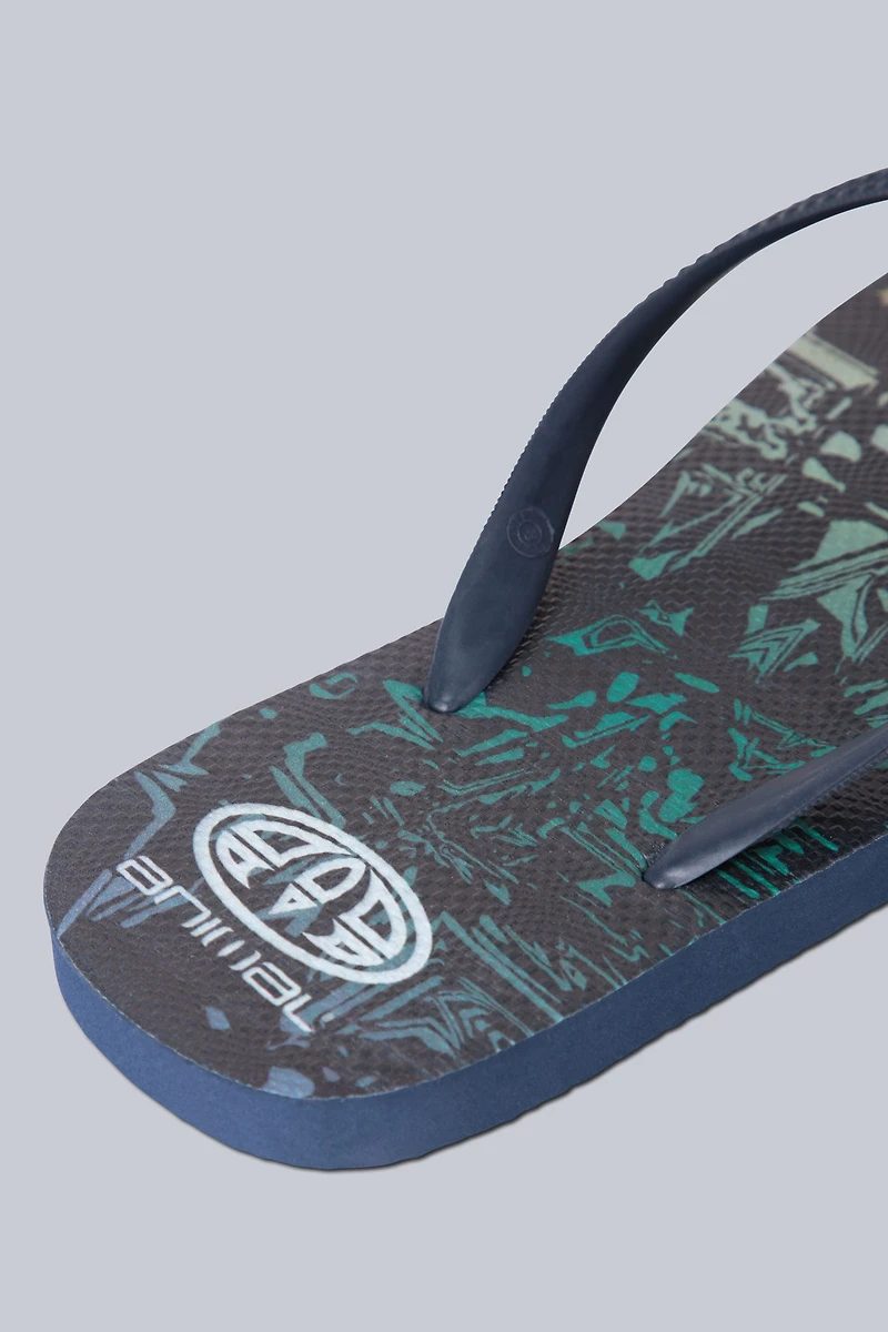 Oceana Mens Printed Flip Flops