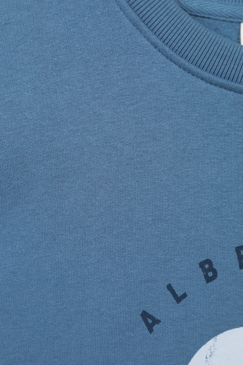 Regional Mens Banff Graphic Sweatshirt