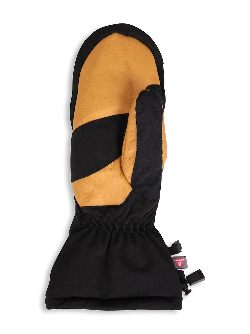 EMS Ascent Summit Mens Waterproof Ski Mittens