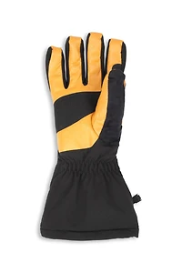 EMS Ascent Summit Mens Waterproof Ski Gloves