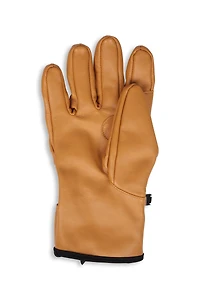 EMS Leather Field Mens Gloves