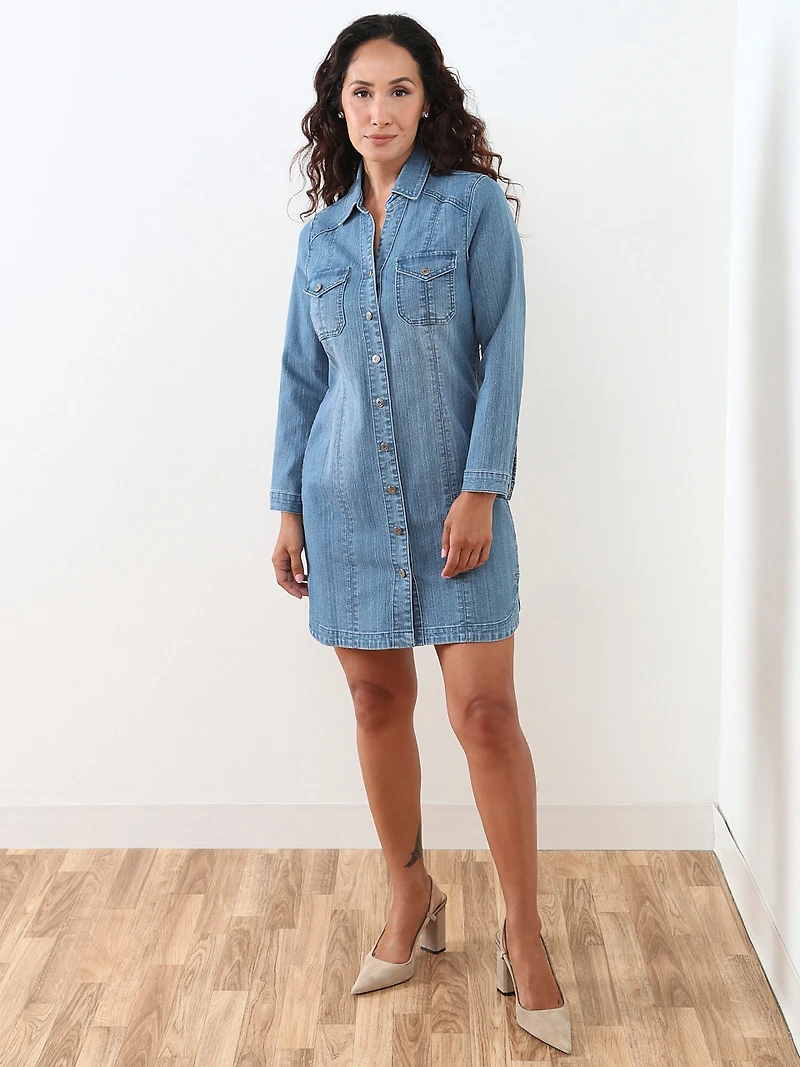 Petite Denim Shirt Dress