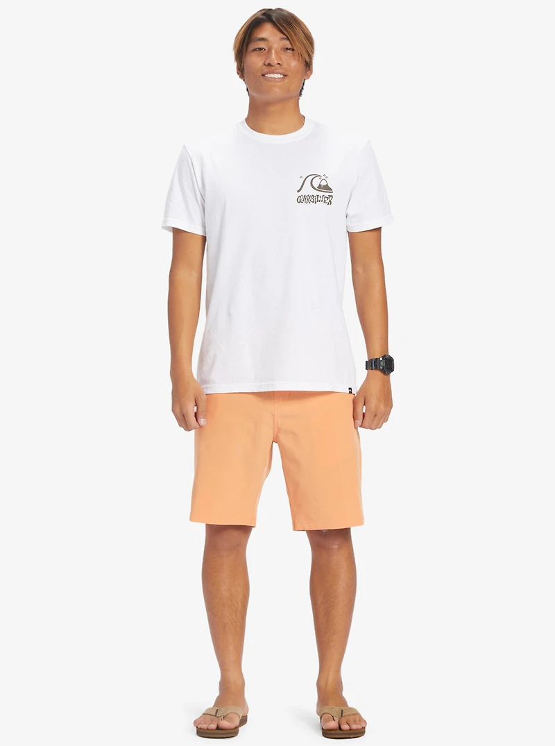 Ocean Union Amphibian 20"