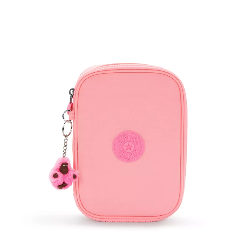 100 Pens Case