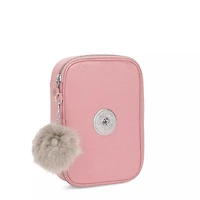 100 Pens Case