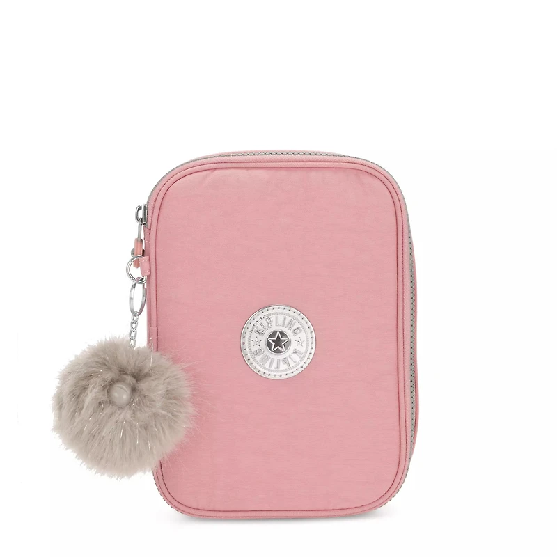 100 Pens Case