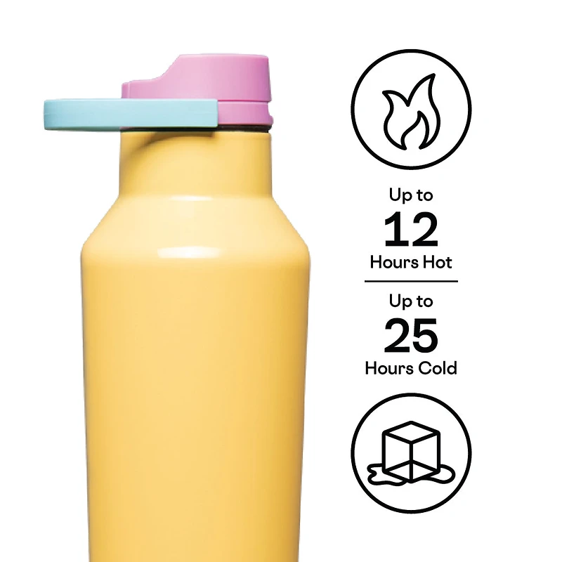 Sport Canteen 20oz- Toucan Jam