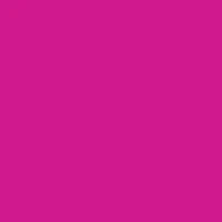 Summer Top - Dragonfruit