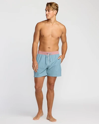 Dbah Panel Laybacks Swim Trunk
