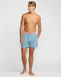 Dbah Panel Laybacks Swim Trunk