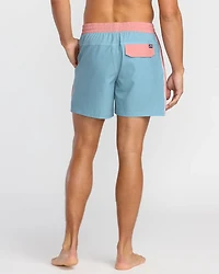 Dbah Panel Laybacks Swim Trunk