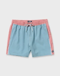 Dbah Panel Laybacks Swim Trunk