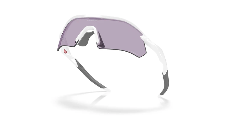 Radar Plate Sunglasses