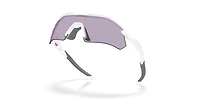 Radar Plate Sunglasses