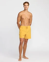 Every Other Day LB 16" Volley