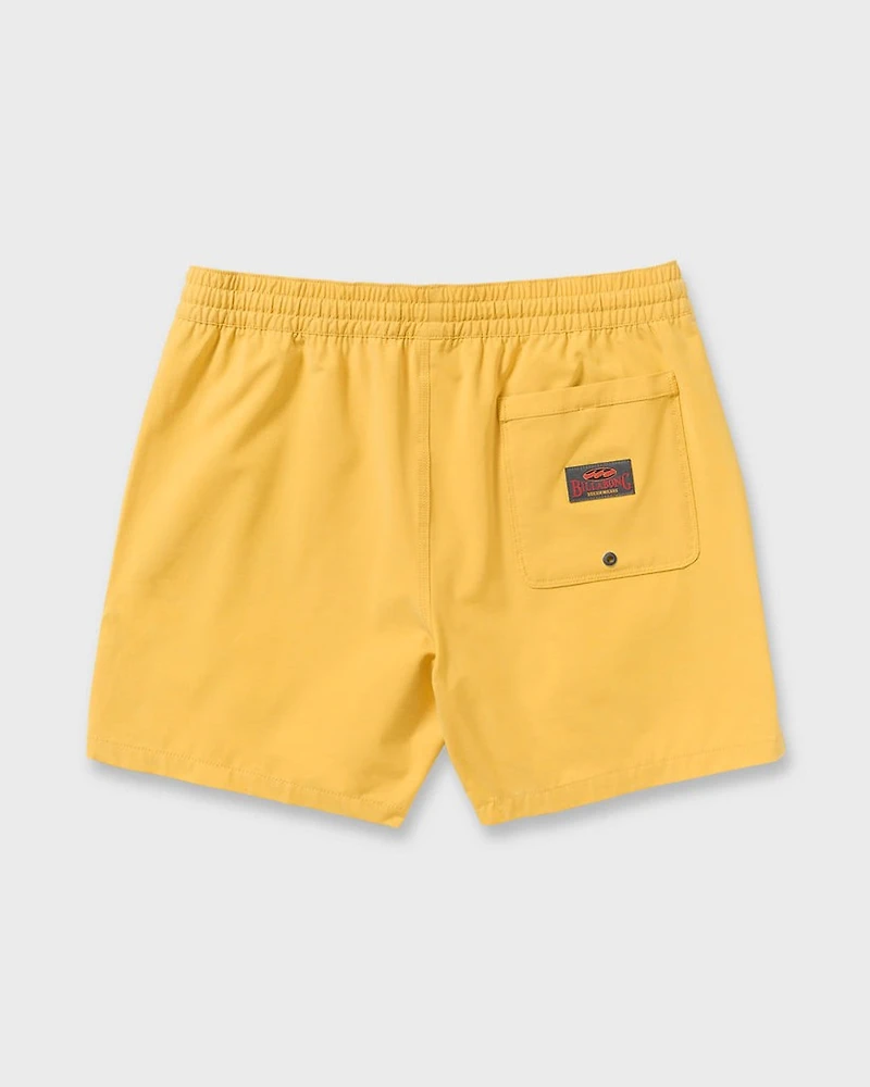 Every Other Day LB 16" Volley