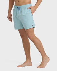 All Day Laybacks 16" Trunks