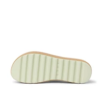 Water Vista Higher- Aloe