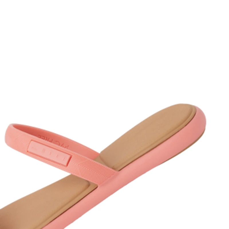 Water Willow Marina- Coral