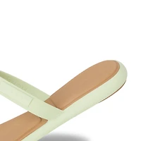 Water Willow Marina- Aloe