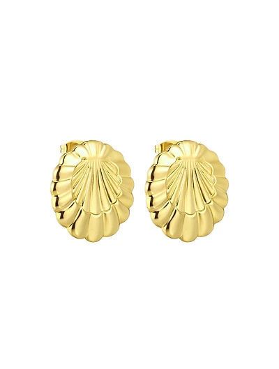 Shell Earrings