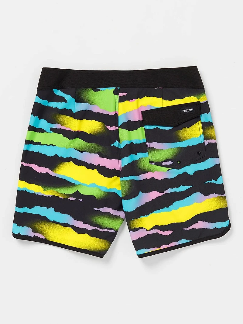 Zebra Shield Scallop BRDS