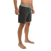 Ledge Boardshorts 18