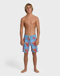 Good Times Gallery Boardshorts