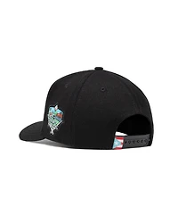 Dreamers (Team Rubio) Hat