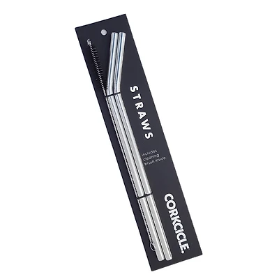 Tumbler Straw 2 pack