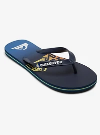 Molokai Art Flip-Flops 1