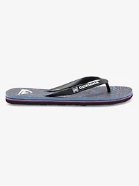 Molokai Art Flip-Flops 1