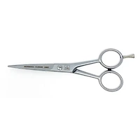 Erbe Barber Stainless Steel Scissors 5.5" (924805)