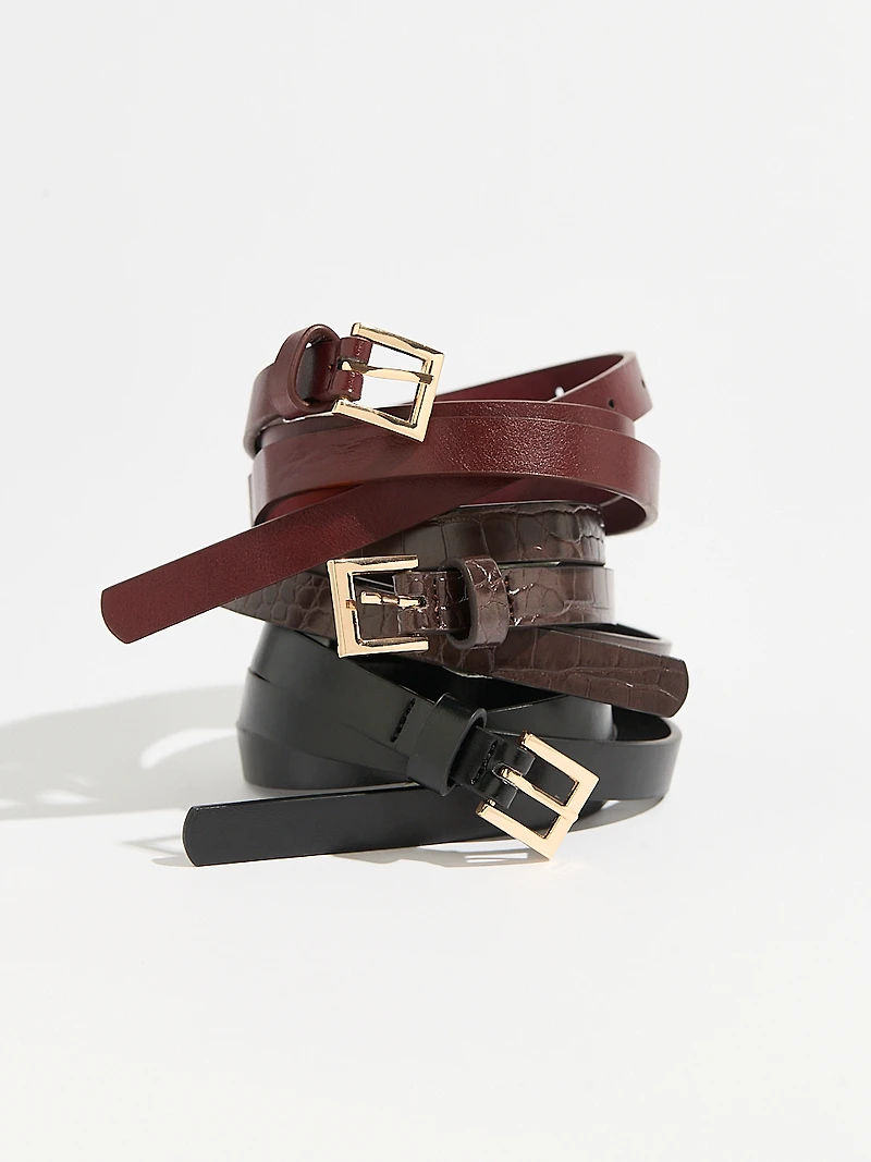 Skinny Trio Belt Set