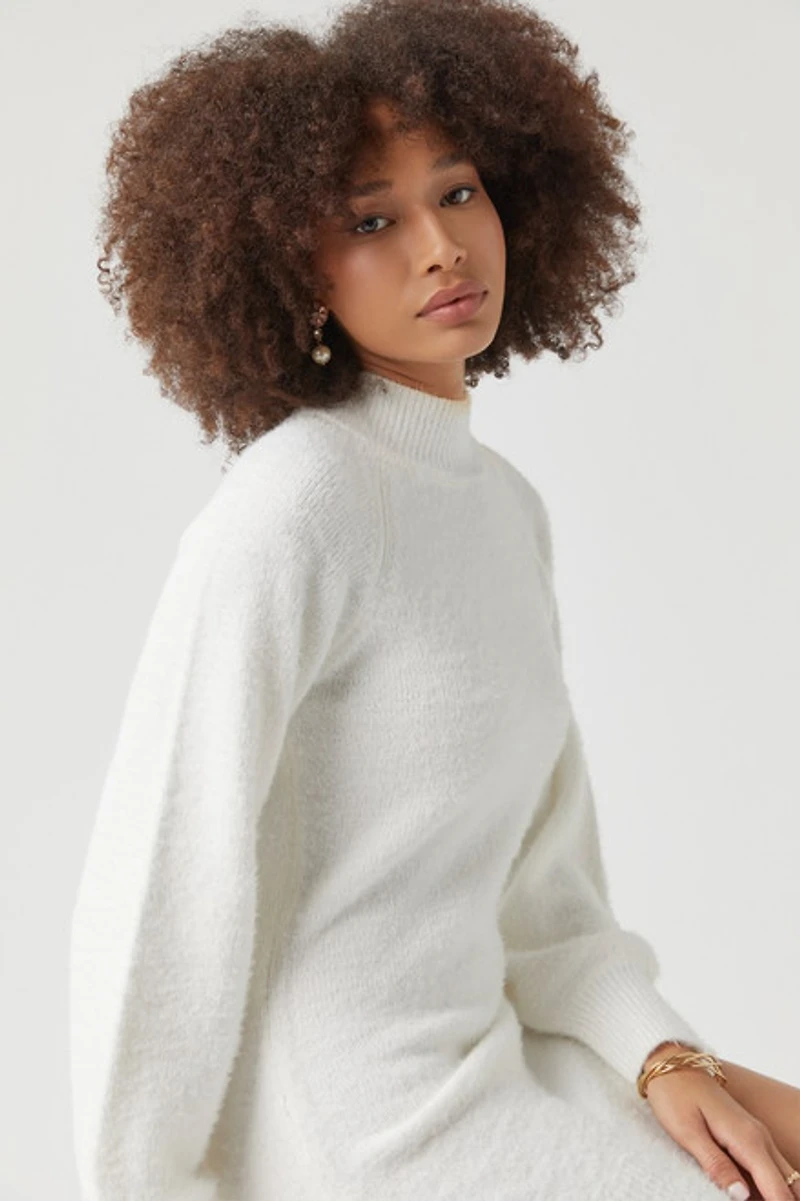 Rosemary Mock Neck Fuzzy Sweater Dress