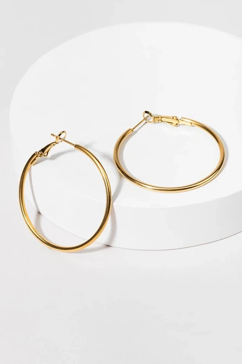 Linnaea Stainless Steel Hoop Earrings