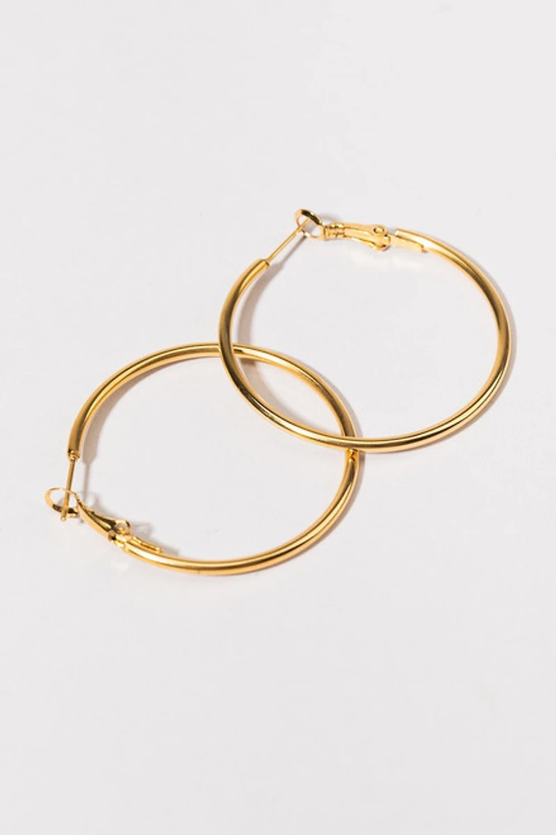 Linnaea Stainless Steel Hoop Earrings