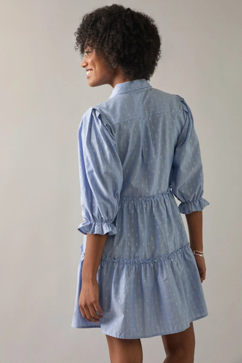 Riley Button Up Swing Ruffled Mini Dress