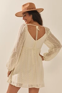 Josephine Embroidered Baby Doll Mini Dress