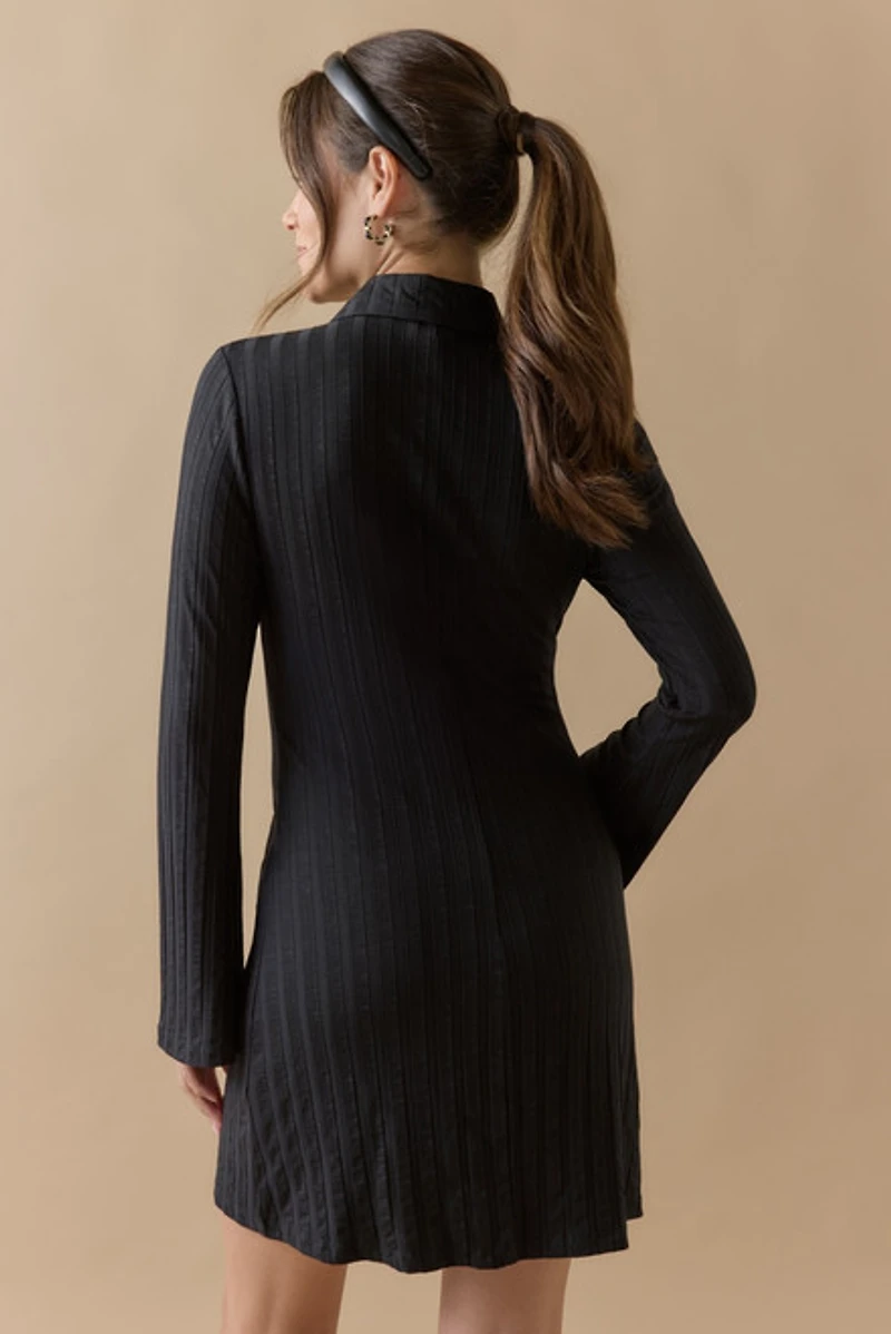 Cam Button Up Long Sleeve Mini Dress