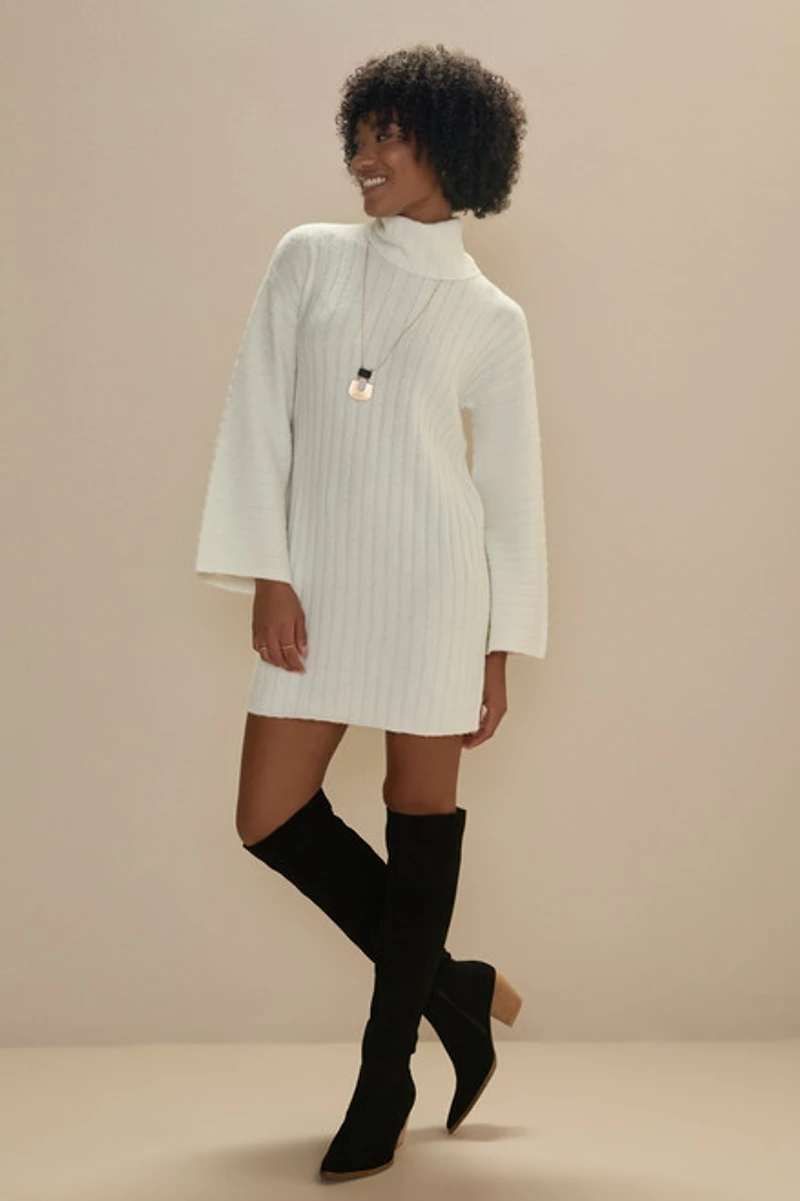 Alisha Fuzzy Sweater Dress